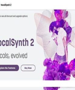 iZotope - VocalSynth 2 v2.1.0.307 - Full Version