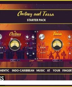 Indigisounds - Chutney and Tassa Starter Pack - Full Version