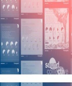 Puremagnetik – Bundle - Full Version