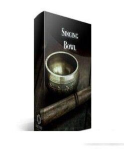 FractureSounds - Singing Bowl - Full Version