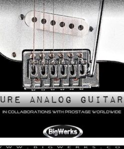 Big Werks - Pure Analog Guitars - Full Version