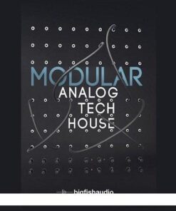 Big Fish Audio - Modular Analog Tech House - Full Version