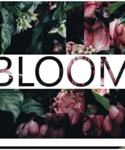 Instruments by Lamprey - Bloom - Full Version