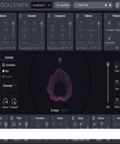 iZotope - VocalSynth 2.01.257 - Full Version