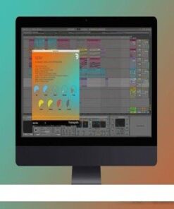 Puremagnetik - Verv 1.0.4 - Full Version