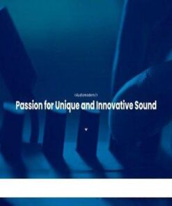 Audiomodern - Bundle - Full Version