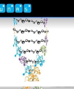 White Noise Audio Software - Plugins Bundle - Full Version