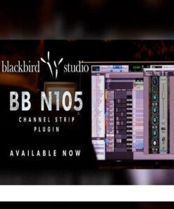 KIT Plugins - BB N105 1.1.0 - Full Version