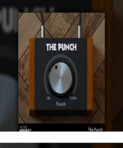 Audio Assault - The Punch 1.0 - Full Version