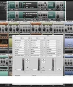 Audiffex - inTone Bass Pro 1.2.1 - Full Version