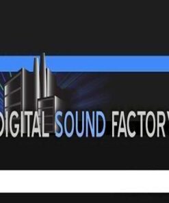 Digital Sound Factory - Classic Synthesizers - Full Version