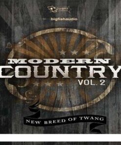 Dieguis Productions - Modern Country Vol.2 - Full Version