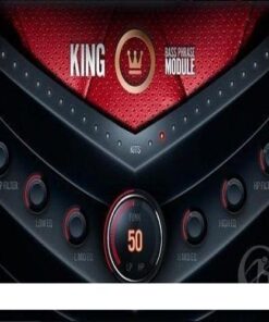 DelicateBeats - KING - Full Version