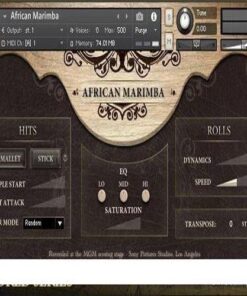 Cinesamples - African Marimba and Udu - Full Version