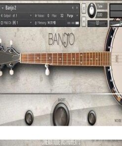 Cinematique Instruments - Banjo 2 - Full Version