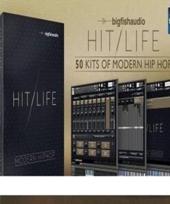Big Fish Audio - Hit Life 2 Modern Hip Hop - Full Version