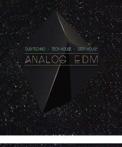 Big Fish Audio - Analog EDM - Full Version