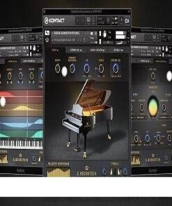 Bechstein Digital - C. Bechstein Digital Grand - Full Version
