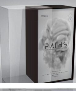 Audiomodern - Paths - Full Version