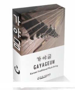 Vin Sound - Gaya Geum - Full Version