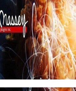 Massey Plugins 3.10.5081 - Full Version