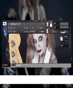 Wilkinson Audio - ZomBass 2 - Full Version