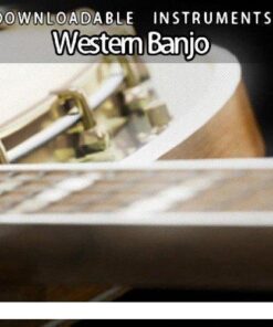iCe Samples - Western Banjo - Full Version
