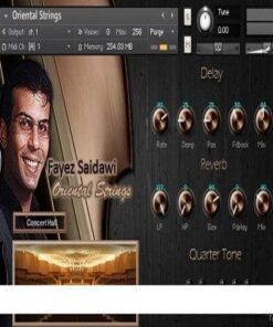 Findasound - Fayez Saidawi Oriental Strings - Full Version