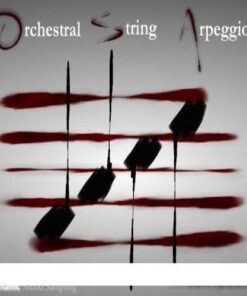 Dynamic Sound Sampling - Orchestral String Arpeggios [1 Sections] - Full Version