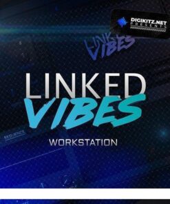 Digikitz Linked - Linked Vibes Workstation - Full Version