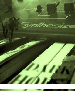 Tronsonic - The Solino String Proto Ensemble - Full Version