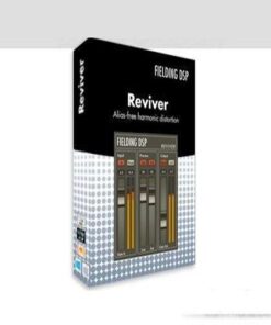 Fielding DSP - Reviver 1.3.6 - Full Version