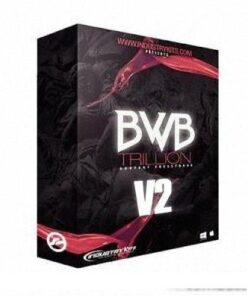 IndustryKits - BWB Trillion V2 - Full Version
