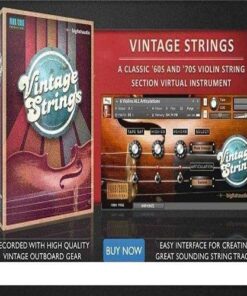 Big Fish Audio - Vintage Strings - Full Version