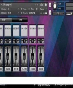 Big Fish Audio - Vibe Funk Force 5 - Full Version