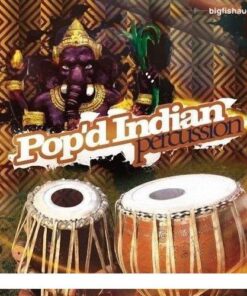 Big Fish Audio - Pop'd Indian Percussion - Full Version