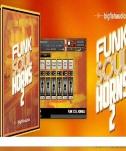 Big Fish Audio - Funk Soul Horns 2 - Full Version
