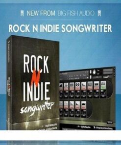 Big Fish Audio - Dieguis Productions Rock N Indie Songwriter - Full Version