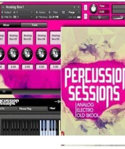 Big Fish Audio - Dieguis Productions Percussion Sessions - Full Version