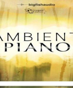 Big Fish Audio - Dieguis Productions Ambient Piano - Full Version