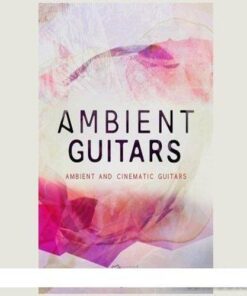 Big Fish Audio - Dieguis Productions Ambient Guitars - Full Version