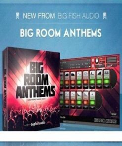 Big Fish Audio - Big Room Anthems - Full Version
