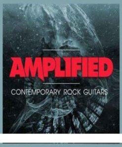 Big Fish Audio - Amplified - Full Version