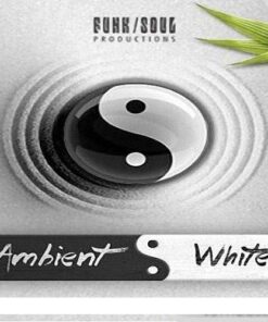 Big Fish Audio - Ambient White - Full Version
