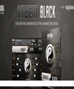 Big Fish Audio - Ambient Black - Full Version