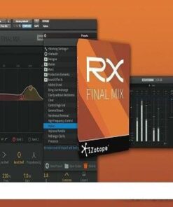 iZotope - RX Final Mix 1.03 - Full Version