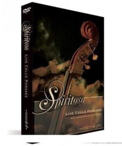 Zero-G - SPIRITOSO Live Cello Phrases - Full Version