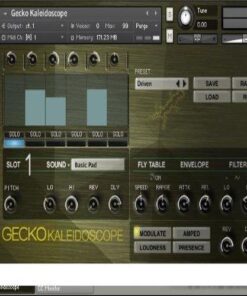 Cinematique Instruments - GECKO Kaleidoscope - Full Version