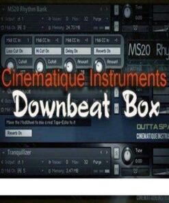 Cinematique Instruments - Downbeat Box - Full Version