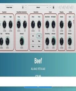 Caelum Audio - Beef 1.0.1 - Full Version
